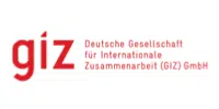 2logo-giz-color.png